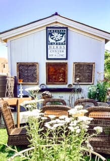 Thrifting with the Gals