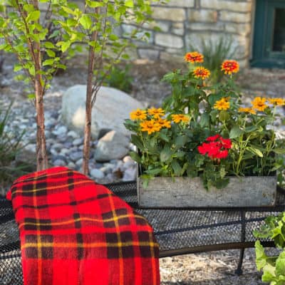 Make a Garden Bench New Again With Spray Paint
