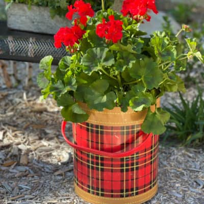 Easy Outdoor Container Gardening Around the House & With Kids