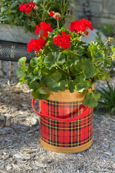 7 Minnow bucket ideas  minnow bucket ideas, bucket ideas, funeral floral
