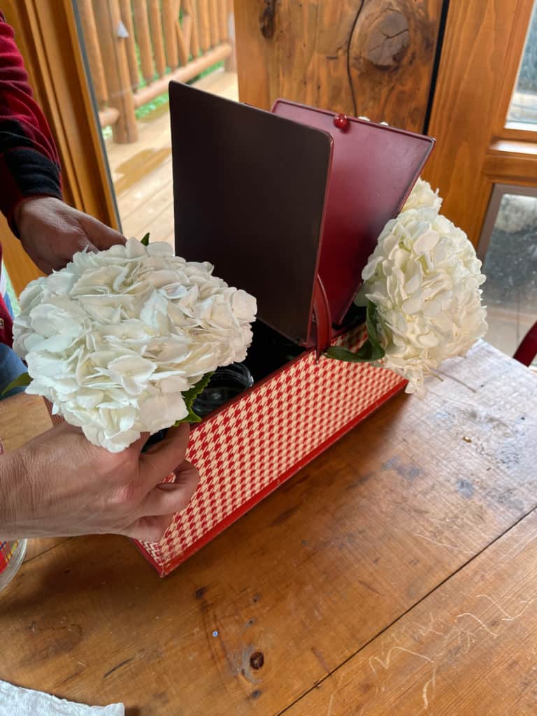 Hydrangeas