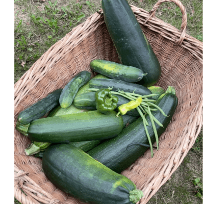 From My Neck of the Woods