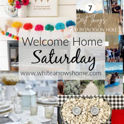 Welcome Home Saturday + Pasha is Home