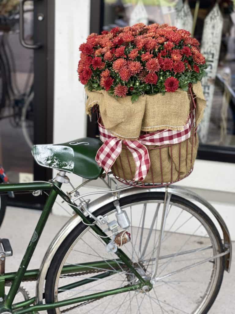 Old school discount bike with basket