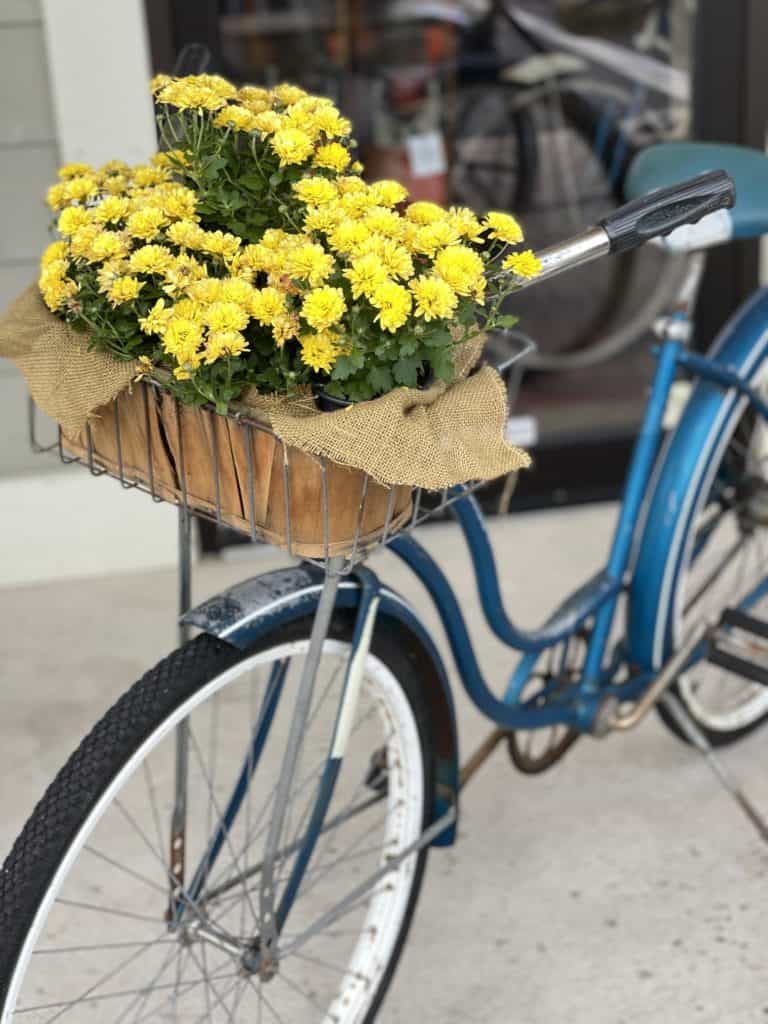 Vintage yellow discount bike with basket