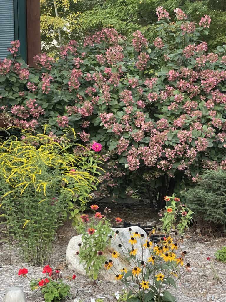 Fall Garden at the Cabin
