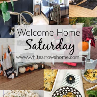 Welcome Home Saturday with Pasha is Home