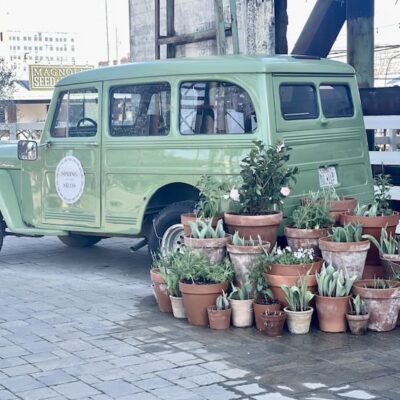 Spring at the Silos at Magnolia Market in Waco, Texas
