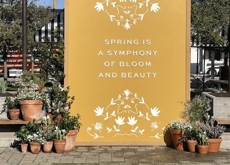 Magnolia Spring at the Silos