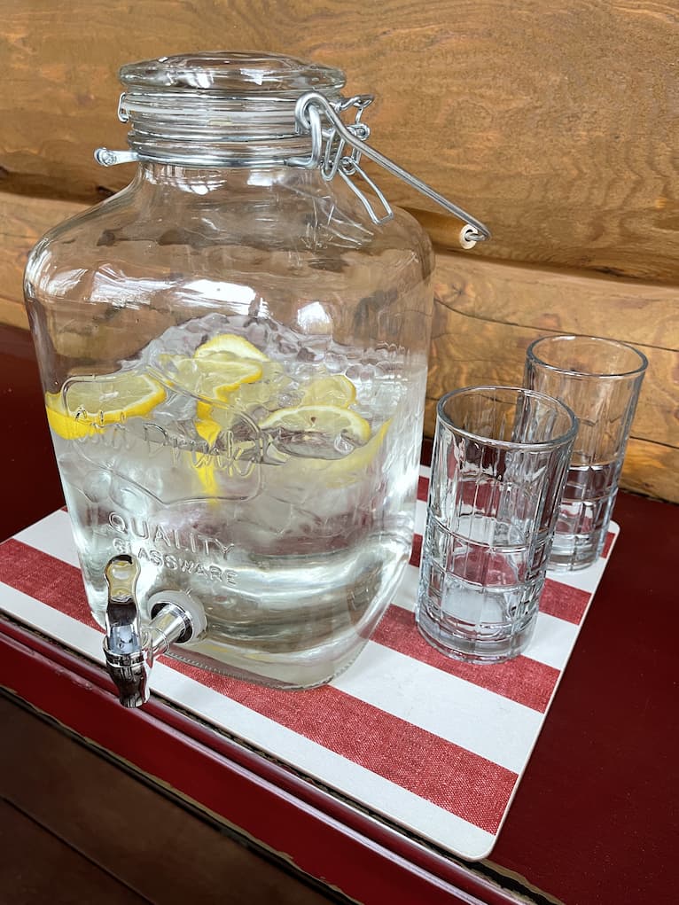 Staying Hydrated Lemon Water Decanter