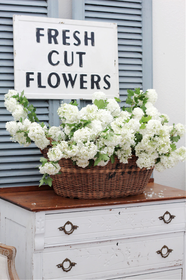 Decorating with Vintage Flower Frogs » The Tattered Pew