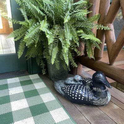 Decorating a Lake House