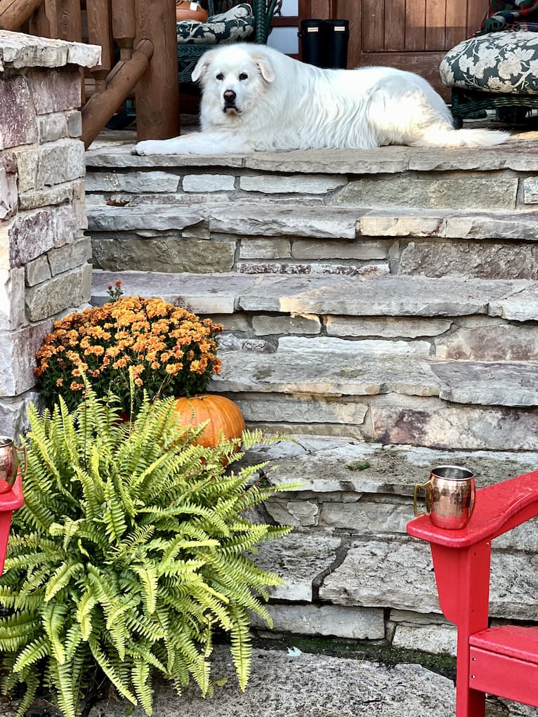 Fall Porch Decor