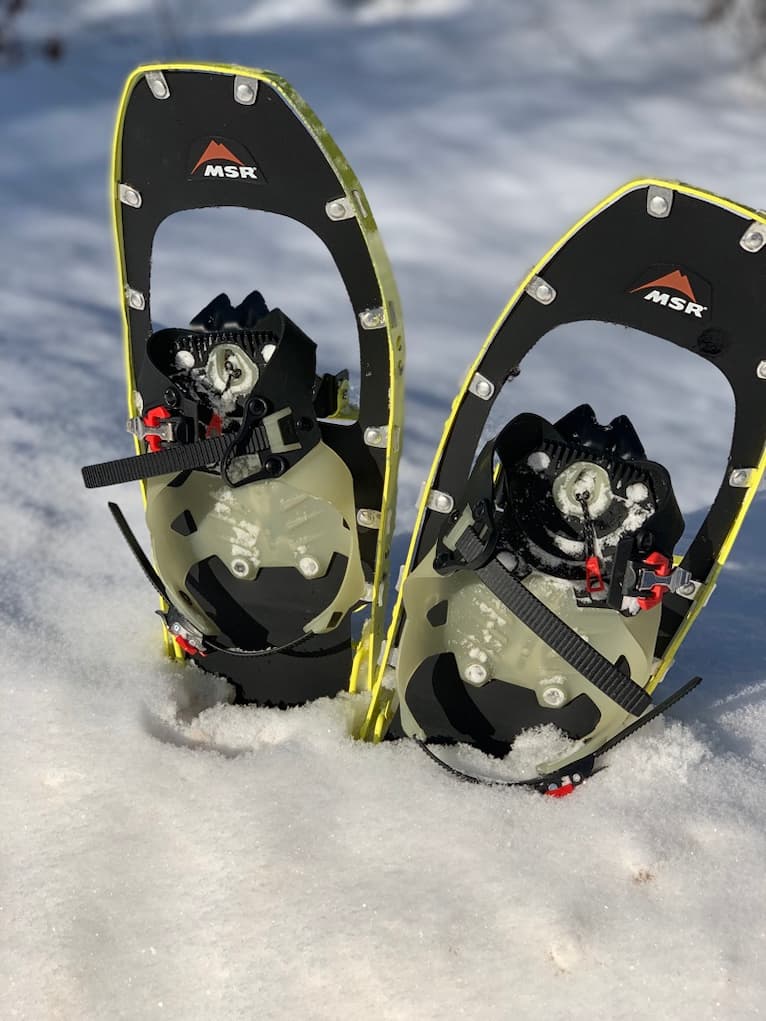 Snowshoes