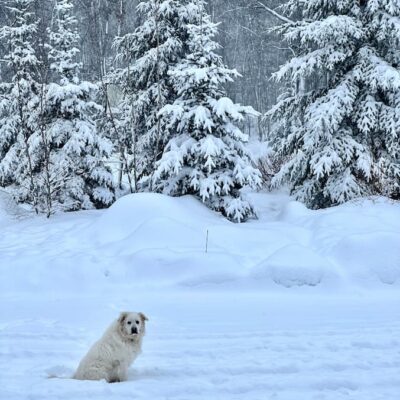 Welcome Home Saturday Valentine Ideas and More