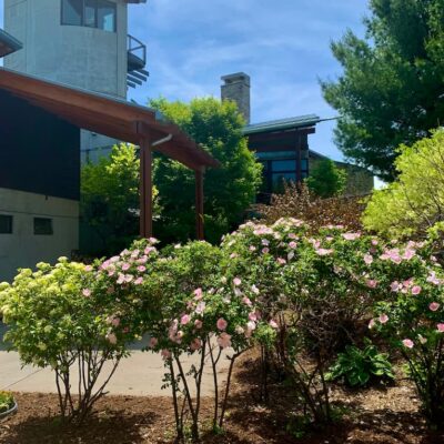 One Room Challenge Week 2: The Potting Shed