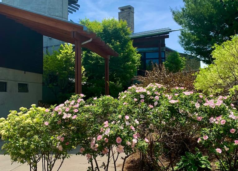 One Room Challenge Week 2 Garden Shed