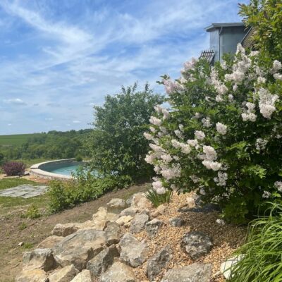 One Room Challenge Week 1: The Potting Shed