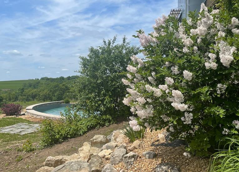 Natural Swimming Pool