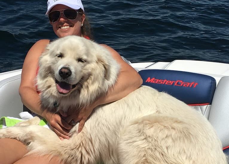 Great Pyrenees on the Mastercraft boat