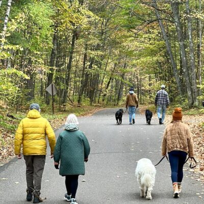 From My Neck of the Woods No. 53