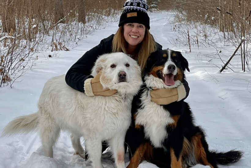Bernese Mountain Dog and Great Pyrenees
