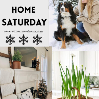 Welcome Home Saturday