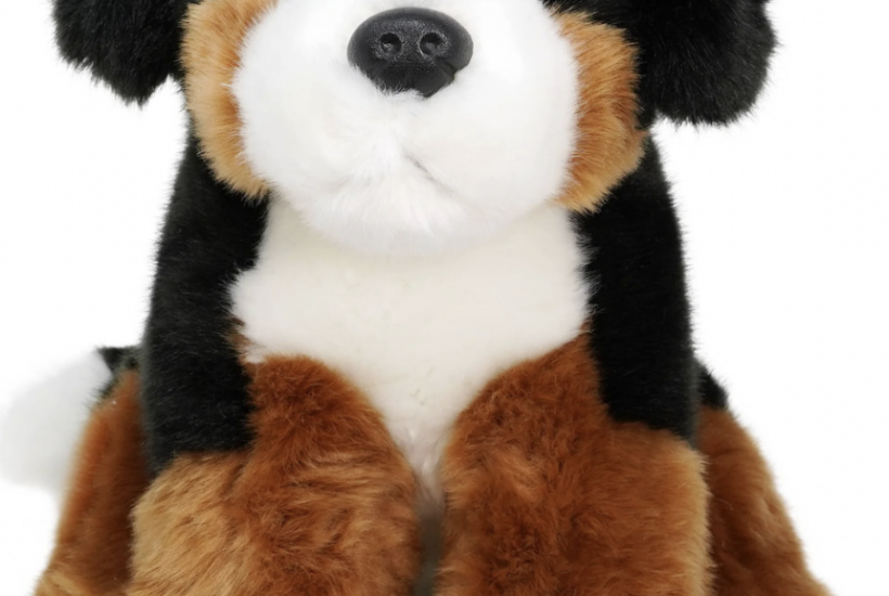 Stuffed Bernese Mountain Dog