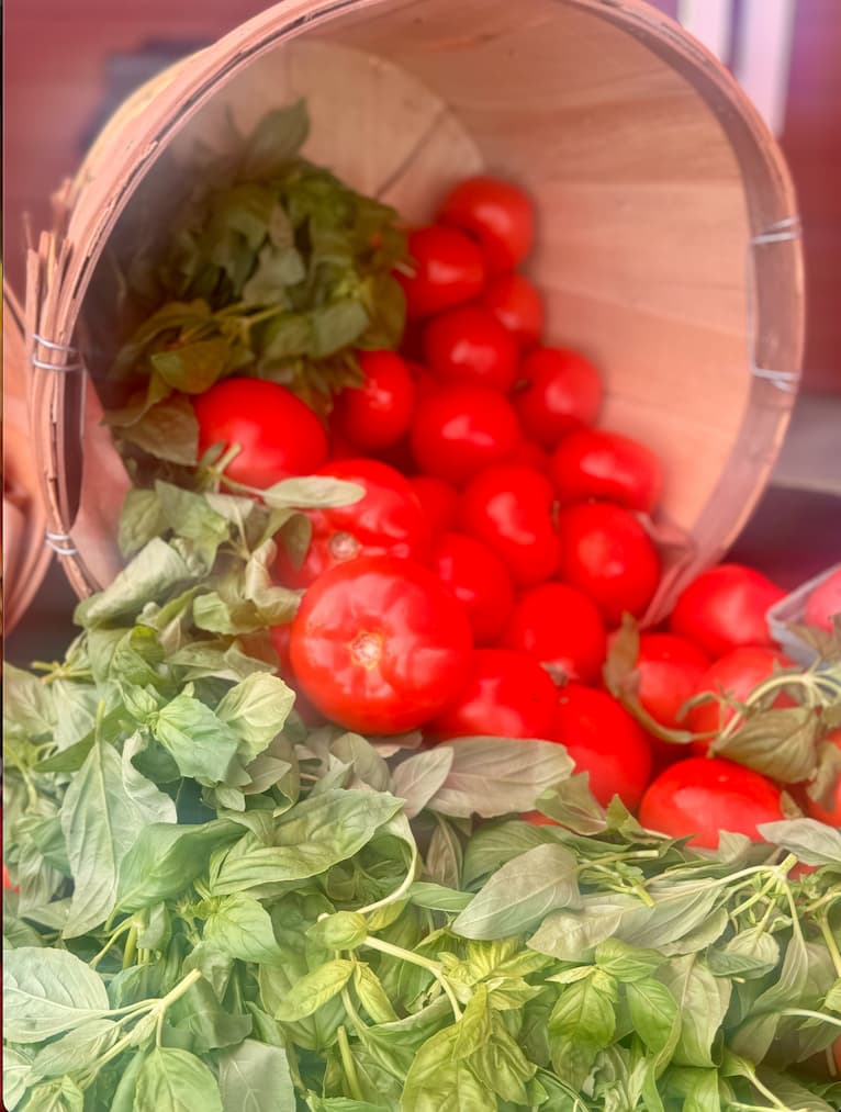 Peppers and Basil