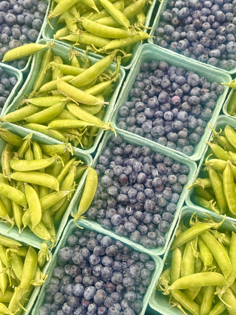 Blueberries and Beans